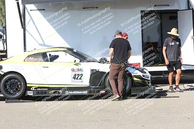 media/Nov-08-2024-GTA Finals Buttonwillow (Fri) [[4a17d6ccc6]]/Around the Pits/